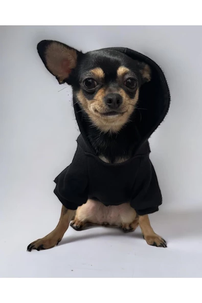 Black Köpek Sweatshirt, Hoodie, Köpek Kazağı, Köpek Kıyafeti - 3