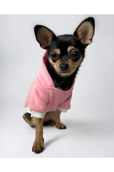 Pink Unicorn Köpek Sweatshirt, Hoodie, Köpek Kazağı, Köpek Kıyafeti - 3