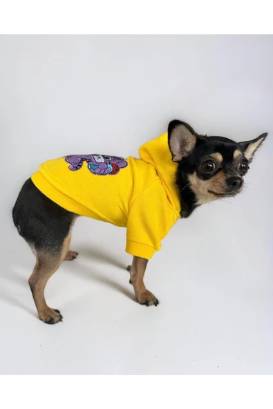 Purple IceCream Köpek Sweatshirt, Hoodie, Köpek Kazağı, Köpek Kıyafeti - 3