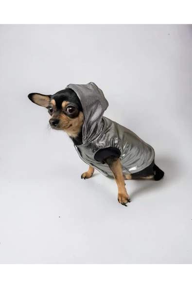 Grey Shine İçi Peluş Köpek Ceketi, Parlak Köpek Montu - 3