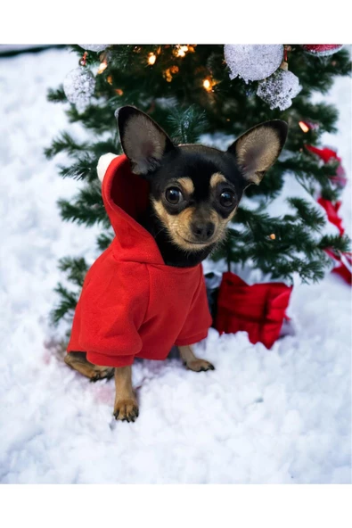 2024 Noel Gift, Hoodie, Yılbaşı Köpek Kazağı, Köpek Kıyafeti - 3