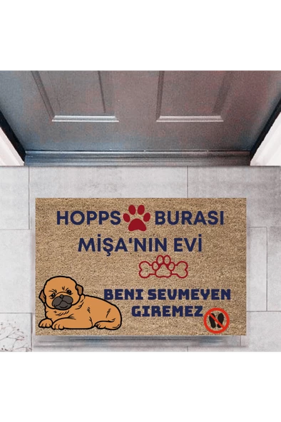 Kapı Önü Paspası Dekoratif Dijital Baskı Hopps  P-2475