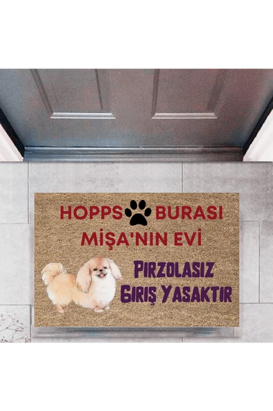 Kapı Önü Paspası Dekoratif Dijital Baskı Hopps  P-2474