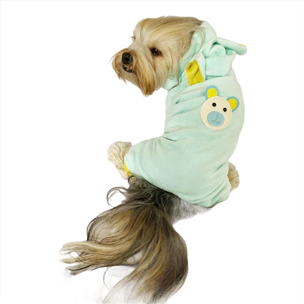 Teddy Boo Köpek Tulumu Köpek Kıyafeti - 2