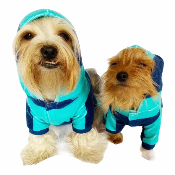 Sea Lines Köpek Tulumu Köpek Kıyafeti - 4