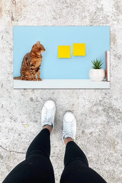 Dijital Baskı Mavi Sarman Kedi Desen Kapı Önü Paspası K-1029