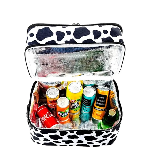 Kamp Piknik Termal Soğutucu Yalıtımlı Buzluk Termos Çanta 22 Lt - 960 Dalmaçya Desenli - 7