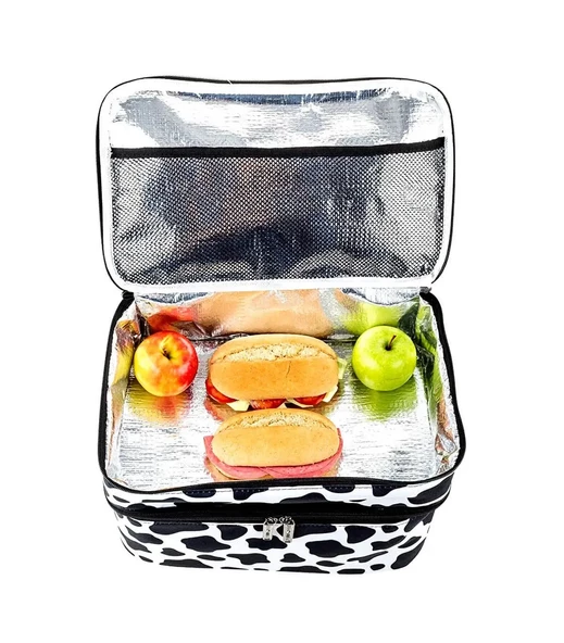 Kamp Piknik Termal Soğutucu Yalıtımlı Buzluk Termos Çanta 2’li Set - 960 - 5