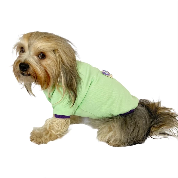 Sweet Butterfly Oval Yaka Tişört Köpek Kıyafeti Köpek Elbisesi - 8