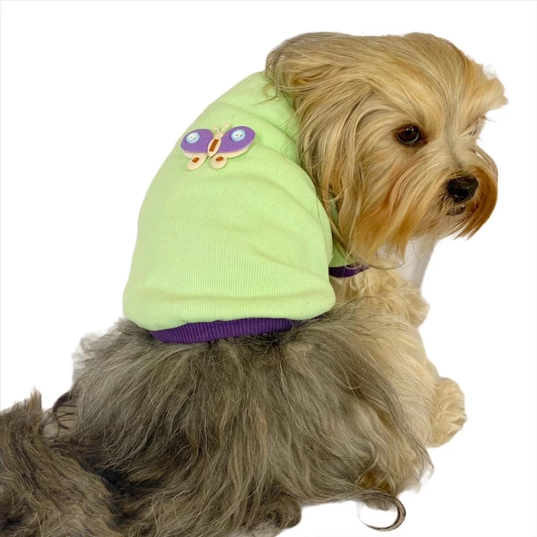 Sweet Butterfly Oval Yaka Tişört Köpek Kıyafeti Köpek Elbisesi - 2