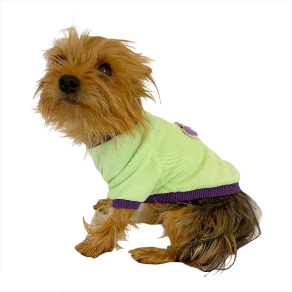 Sweet Butterfly Oval Yaka Tişört Köpek Kıyafeti Köpek Elbisesi - 3