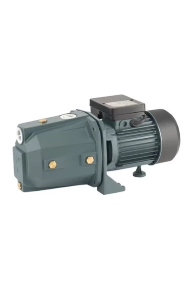 Rainpump SGJW37 Santrifuj Pompa 0.5 Hp 1 Parmak