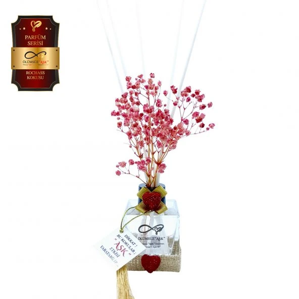 Ölümsüz Aşk Parfüm Serisi Rochass Kokulu 5 x 60 ml küp Şişe Bambu Çubuklu Ortam Kokusu ürün görseli 1