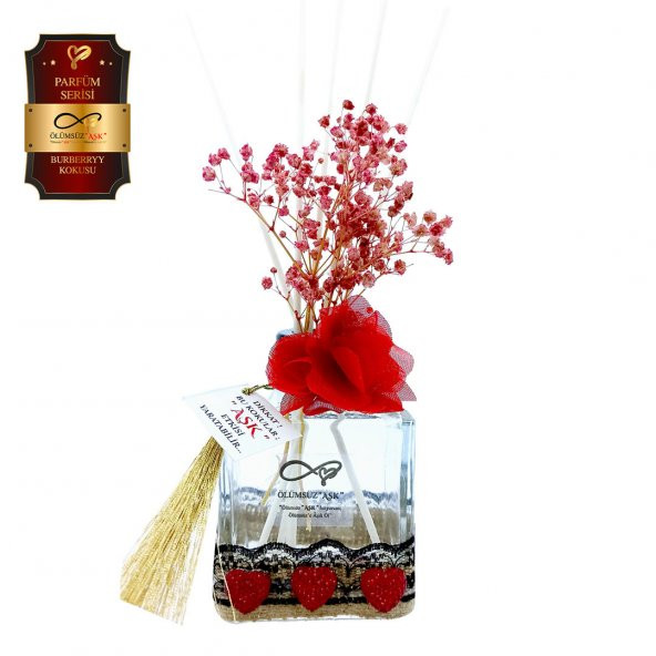 Ölümsüz Aşk Parfüm Serisi Burberryy Kokulu 5 x 200 ml küp Şişe Bambu Çubuklu Ortam Kokusu