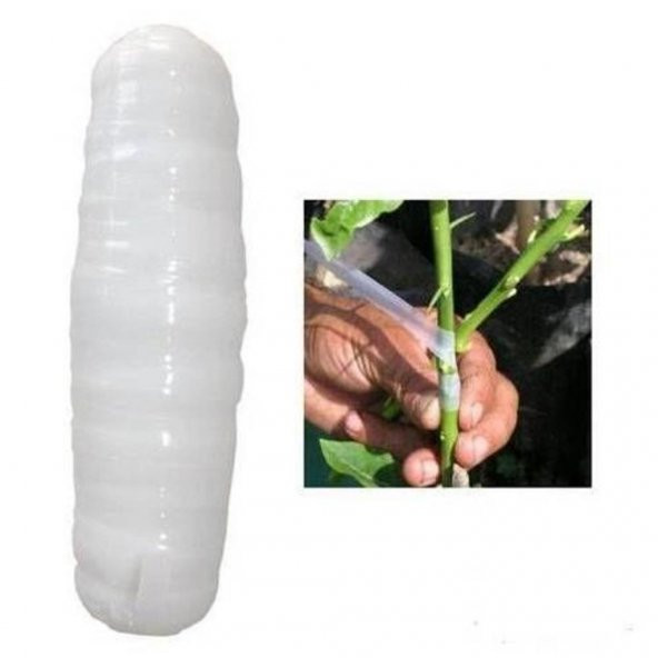 Bayram Aşı Bıçağı Paslanmaz 22 cm No:3 + Aşı Bandı (3lü Paket) - 4