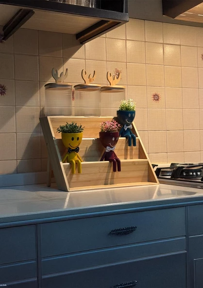 Bambu Stantlı Dekoratif Borosilikat Cam Kavanoz Seti - Saksı Hediyeli Kavanoz Takımı - 7 Parça - 2