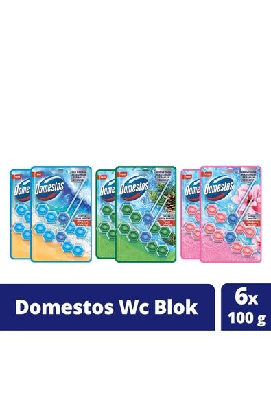 Domestos Tuvalet Bloğu 100 G Çam Ormanı 100 X2 Manolya Buketi 100 G X2 Okyanus Esintisi 100 G X2