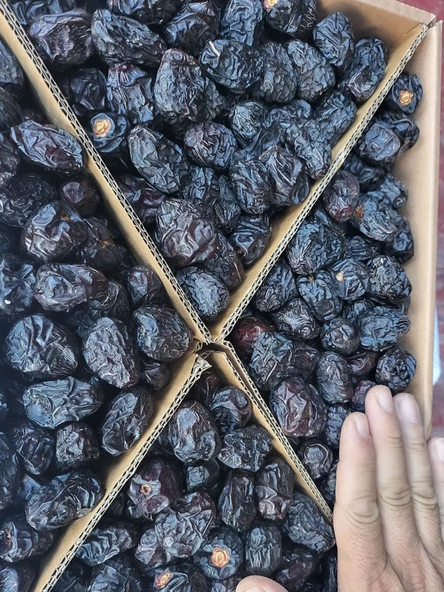 Acve Hurma 5 kg (DUBLE) - 2