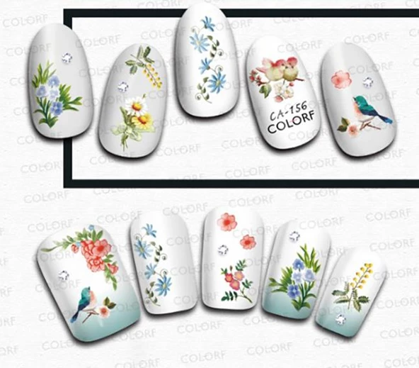 Tırnak Sticker - Resim 2