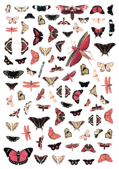 Tırnak Sticker ürün görseli