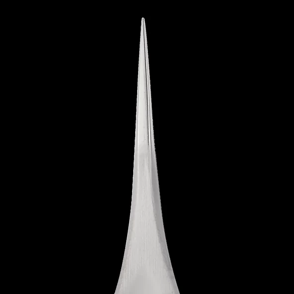 Profesyonel Podoloji Cımbızı TP-10 - 3