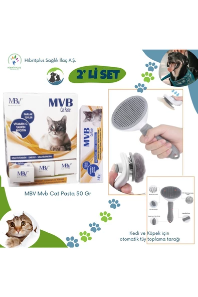 MBV Mvb Cat pasta 50 gr + Kedi ve Köpek otomatik tüy toplama tarağı 2 li set