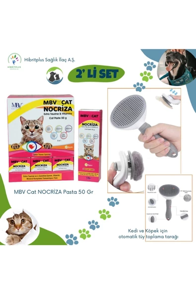 Mbv Nocrıza Cat Pasta 50 gr Kedi Ve Köpek Otomatik Tüy Toplama Tarağı 2 Li Set