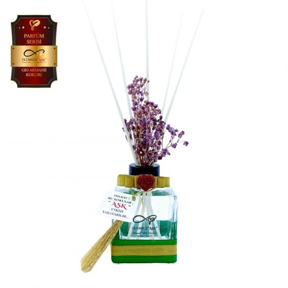 Ölümsüz Aşk Parfüm Serisi Gioo Armanii Kokulu 10 x 120 ml küp Şişe Bambu Çubuklu Ortam Kokusu ürün görseli 1