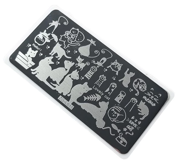 Nail Art Stamping Baskı Plakası