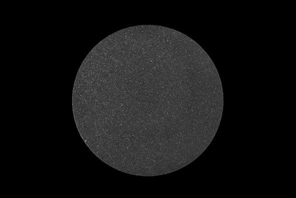 Staleks Disk Zımpara 25mm 240 Grit (Large) 50li - Resim 2