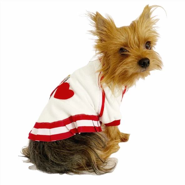 Teresa Girl Sweat Elbise by Kemique Köpek Kazağı - 2