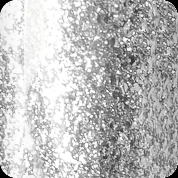 Kinetics Shield Gel Polish Kalıcı Oje Influence Spices 519 15ml - Resim 4