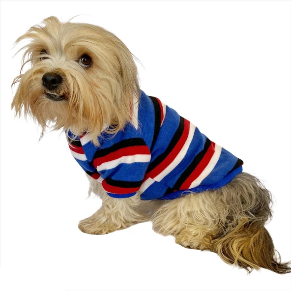 Tommy Colours Oval Yaka Tişört Köpek Kıyafeti Köpek Elbisesi - 7