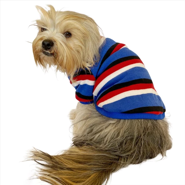 Tommy Colours Oval Yaka Tişört Köpek Kıyafeti Köpek Elbisesi - 2