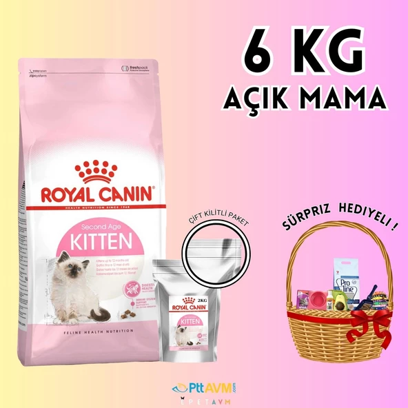 Royal Canin Kitten 36 Yavru Kedi Maması 6 KG Açık Mama