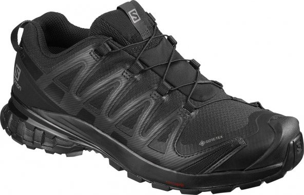 Salomon XA PRO 3D v8 GTX W Kadın Ayakkabısı L41118200