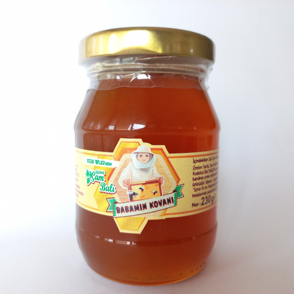 Süzme Çam Balı 230g - 2