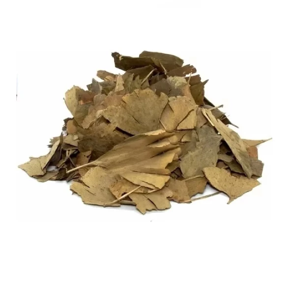 Ginkgo Biloba Yaprağı (Mabed Ağacı) Ginko 250 gr, Derya Eren - 2