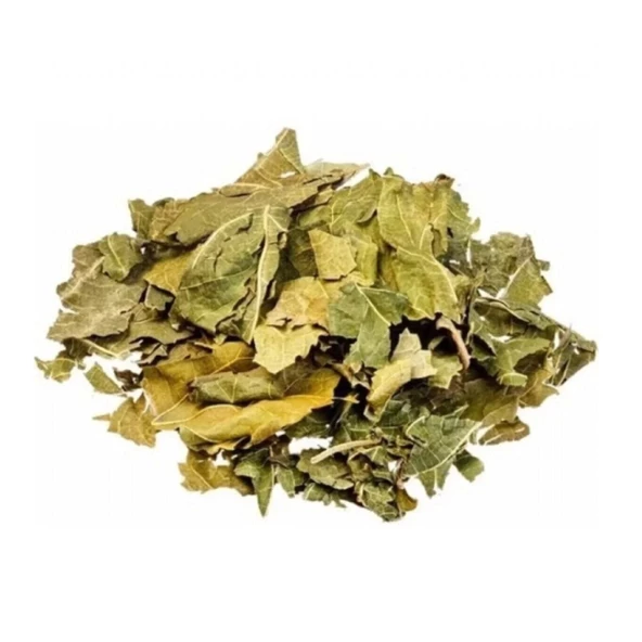 Dut Yaprağı (Beyaz Dut) Morus alba 250 gr, Derya Eren - 2