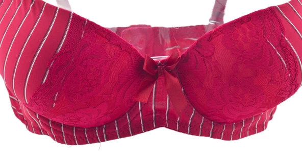 ZEITGEIST Balenli Dolgulu Push Up B Cup Destekli Dantelli Kırmızı Çizgi Desenli Sütyen No:43 - 3