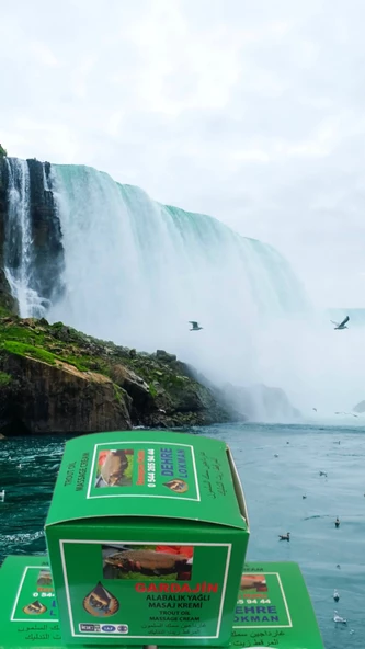 Gardajin Alabalık Yağı Özlü Krem 70 gr ( 5 adet ) - 3