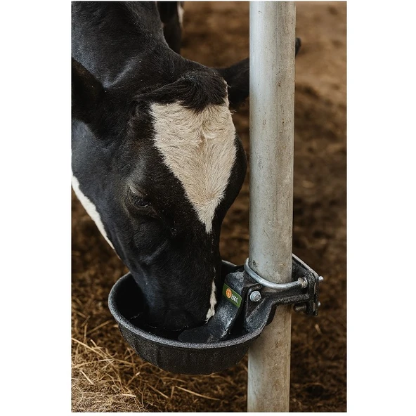 Pik Döküm Dilli Hayvan Suluğu 2,5 Litre-2 Adet - Resim 4