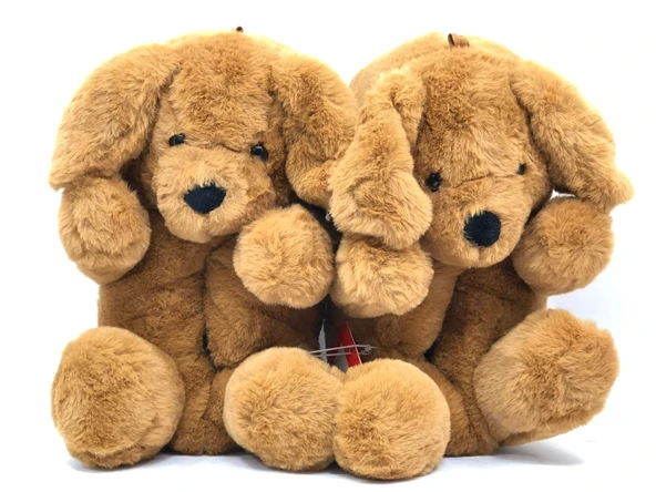 Polaris 607106.Z Ev Terliği Hayvan Figürlü Unisex Panduf ürün görseli 1