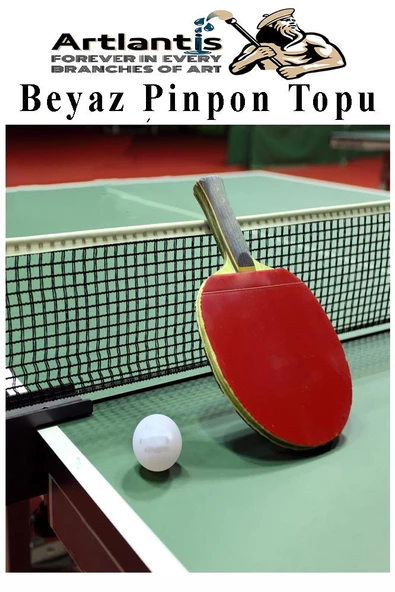Turuncu Pinpon Topu 50 Adet Masa Tenis Topu Evcil Hayvan Kedi Oyuncağı Okul Sınıf Etkinlik Deney Topu - 5