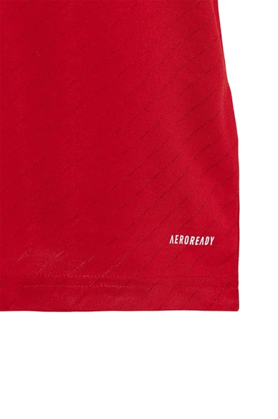 Beşiktaş Orijinal Lisanslı 24-25 Kırmızı Forma - 5