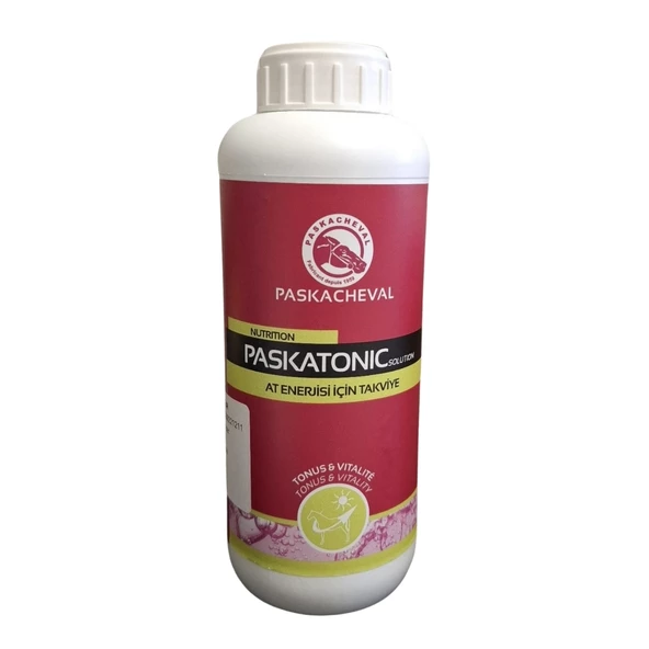 Pascacheval Paskatonic Solution 1 LT