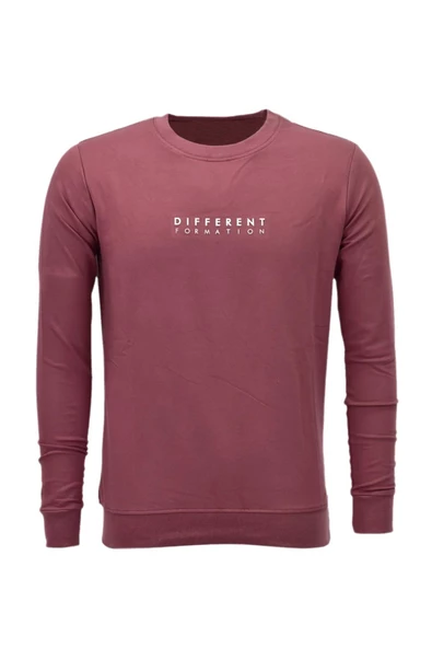 Erkek Spor Mevsimlik Sıfır Yaka Sweatshirt BGL-ST03933 - Resim 7