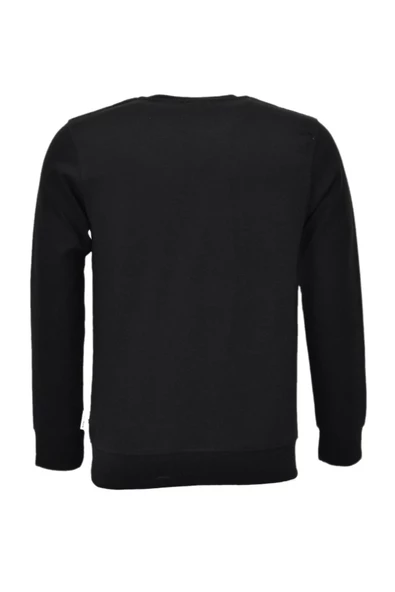 Erkek Spor Mevsimlik Sıfır Yaka Sweatshirt BGL-ST03934 - 6