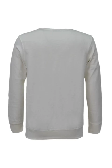 Erkek Spor Mevsimlik Sıfır Yaka Sweatshirt BGL-ST03934 - 10