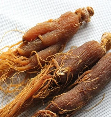 Orginal Kırmızı Ginseng Saf Kök Tane 50 G